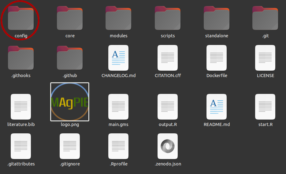 Contents of folder where MAgPIE is cloned