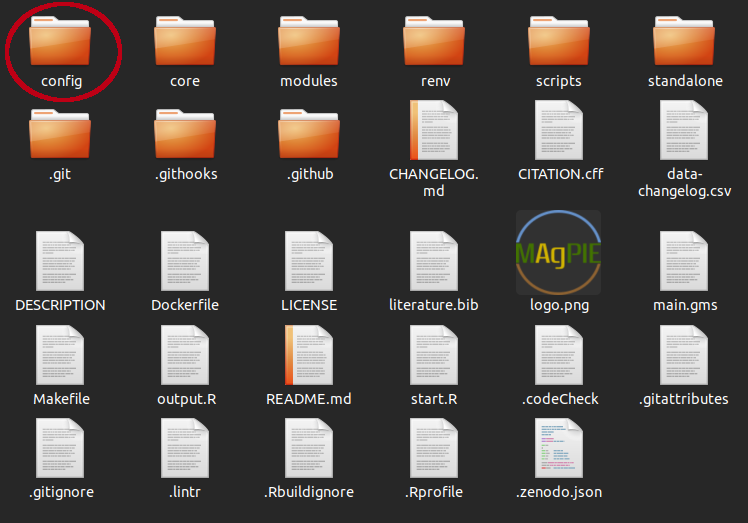 Contents of folder where MAgPIE is cloned