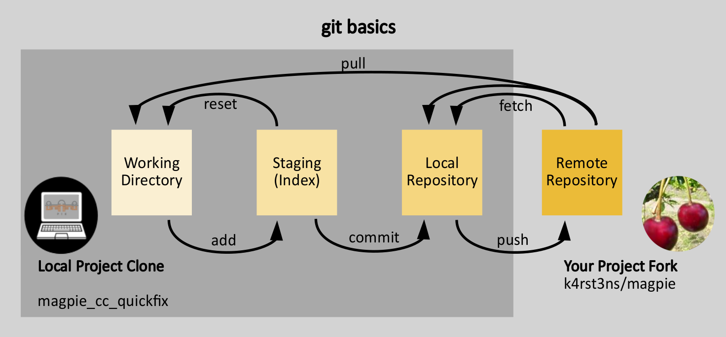 Git basics