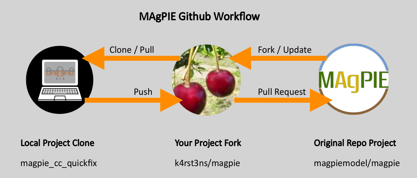 GitHub workflow