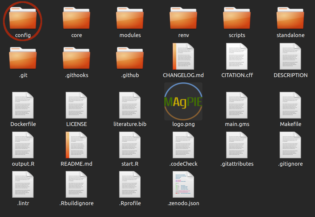 Contents of folder where MAgPIE is cloned